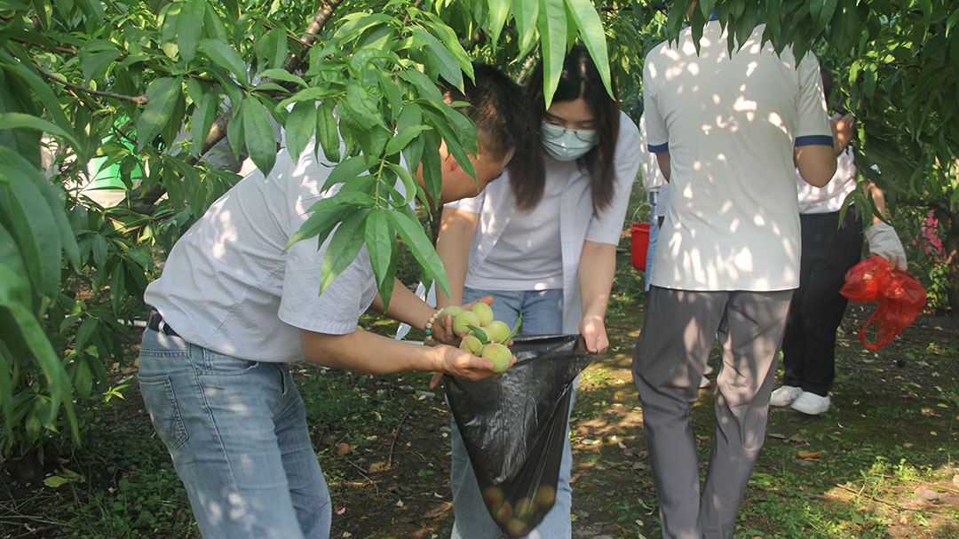 愛(ài)瑞特采摘季---體驗(yàn)采摘樂(lè)趣，共享勞動(dòng)成果